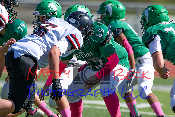 65 Ballew-14