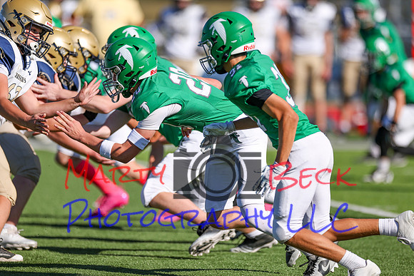 20 Cannon-3