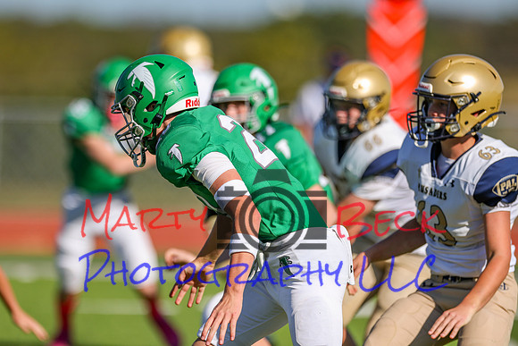 20 Cannon-7