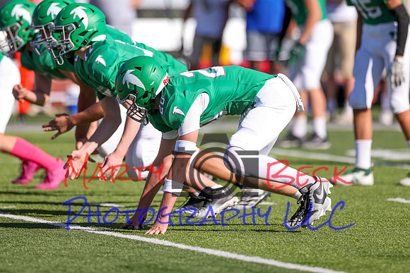 20 Cannon-20