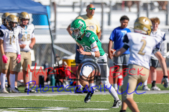 20 Cannon-26