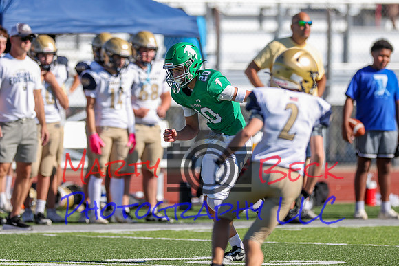 20 Cannon-28