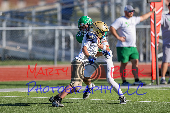 20 Cannon-31