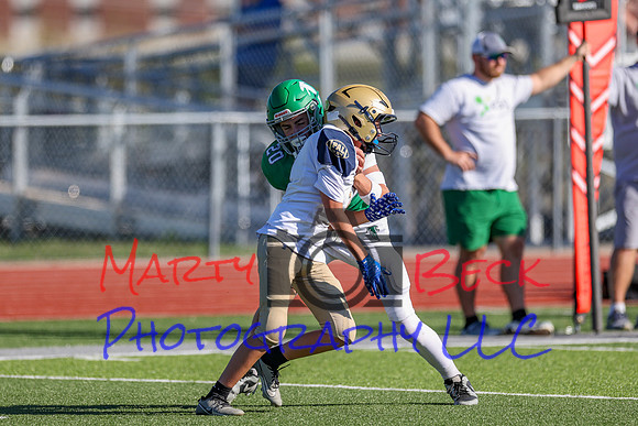 20 Cannon-32