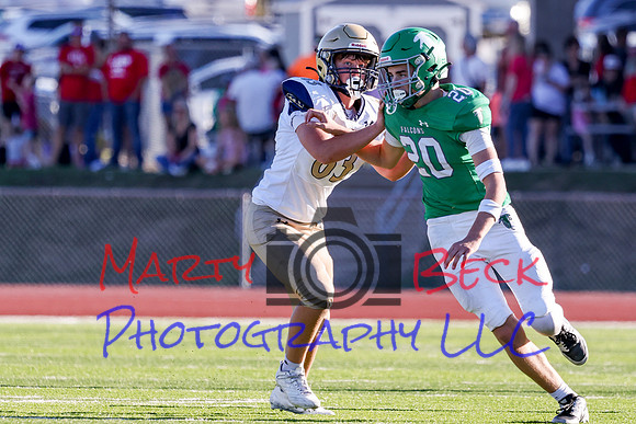 20 Cannon-84