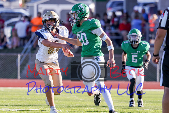 20 Cannon-85