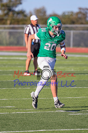 20 Cannon-94