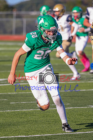 20 Cannon-95