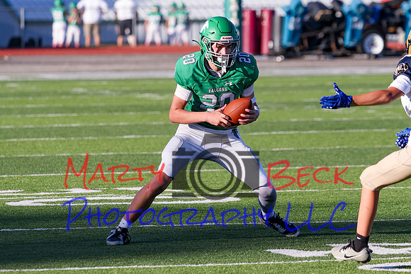 20 Cannon-98
