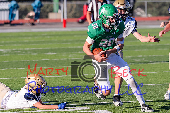 20 Cannon-104
