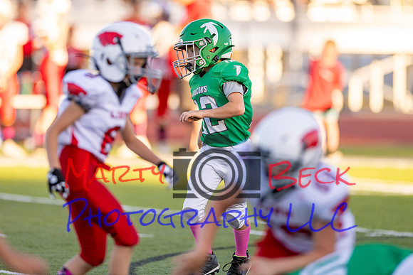 12 Reynolds-5