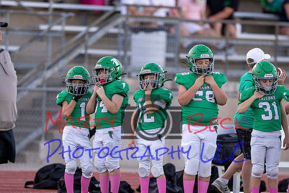 12 Reynolds-31