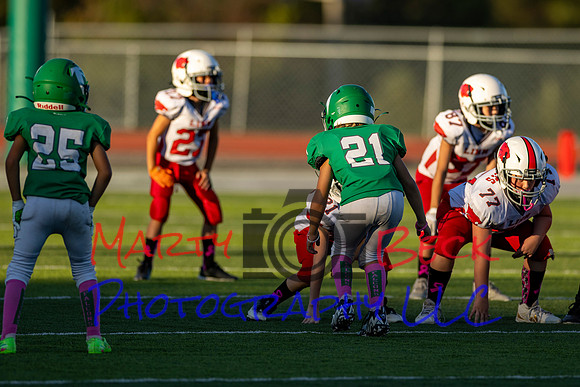 21 Kekec-2