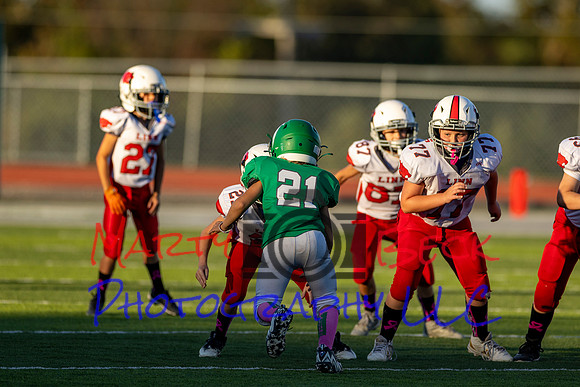 21 Kekec-3