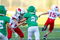 21 Kekec-9