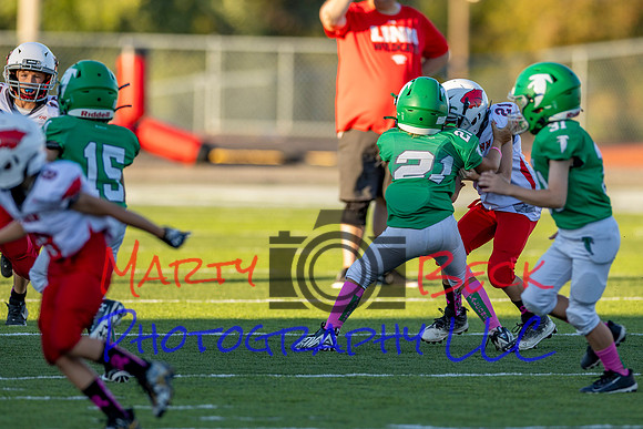 21 Kekec-6