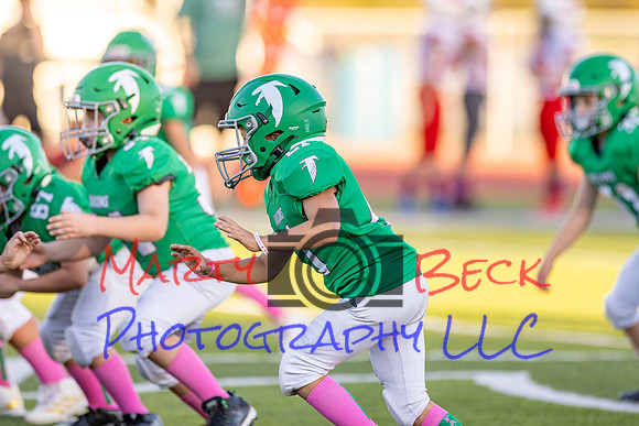 21 Kekec-26