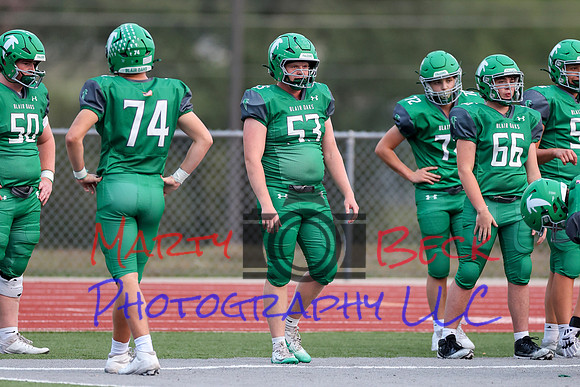 53 Beau Brown-2