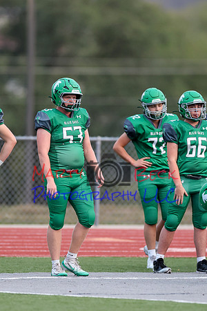 53 Beau Brown-3