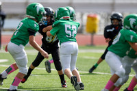 52 Henry Wolken-6