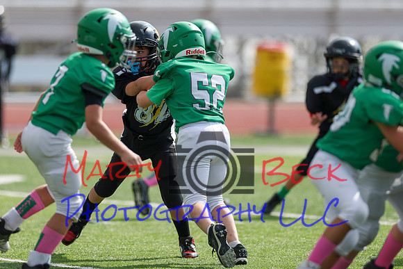 52 Henry Wolken-6