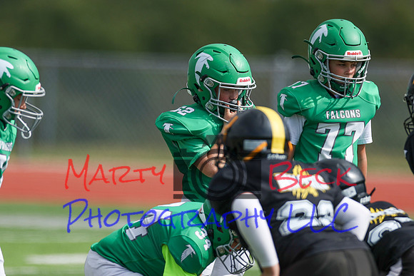 52 Henry Wolken-8
