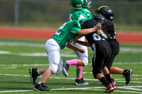 52 Henry Wolken-12