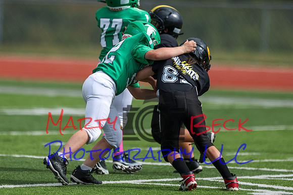 52 Henry Wolken-13