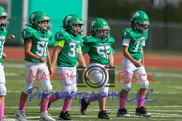 52 Henry Wolken-11