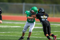 52 Henry Wolken-14