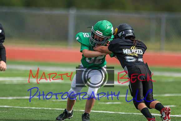 52 Henry Wolken-14
