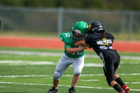 52 Henry Wolken-15