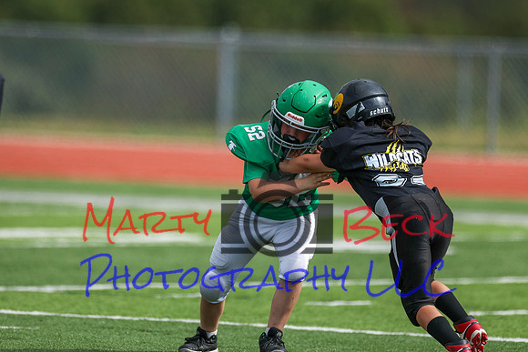 52 Henry Wolken-15
