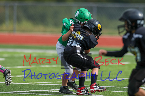 52 Henry Wolken-17