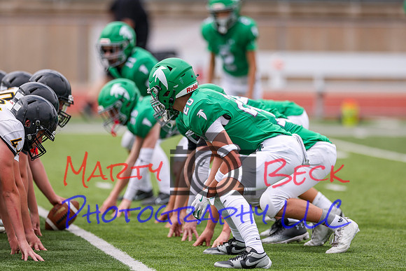 20 Cannon-17