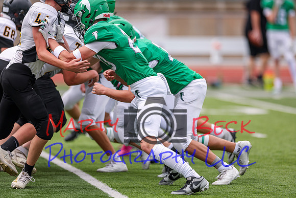 20 Cannon-20