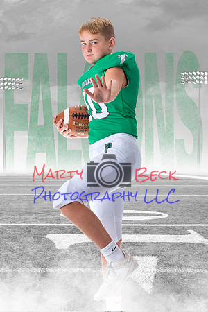 Jr Falcon White