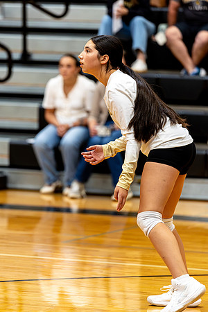10012026Farm7VB_32-97