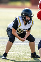 54-20