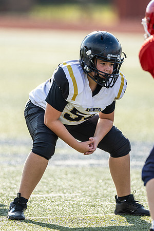 54-20