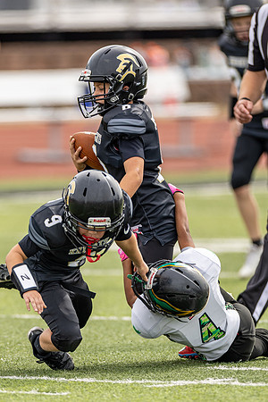 10102026FGTN4FB_8-223