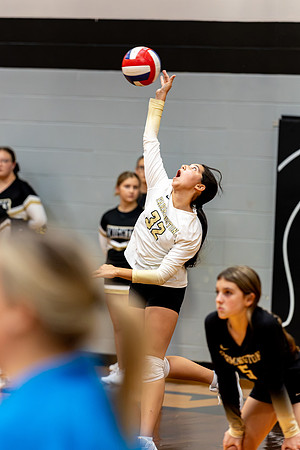 10012026Farm7VB_32-89