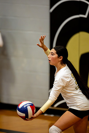 10012026Farm7VB_32-204