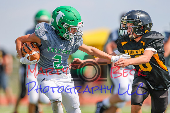 CA0I1157