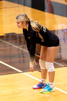 10052026Farm8VB_12-1