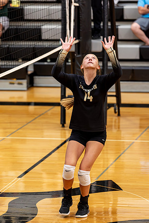 10052026Farm8VB_14-62