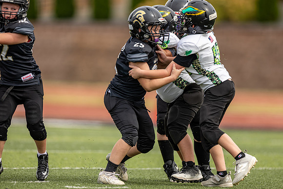 10102026FGTN4FB_25-33
