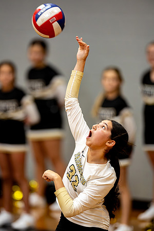 10012026Farm7VB_32-212