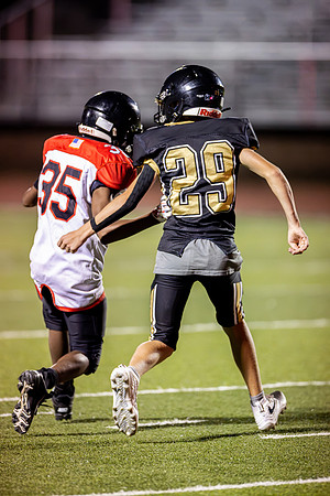 10082026FGTN7FB_29-85