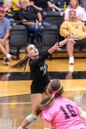 10052026FarmFrVB_15-10